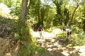 20220709-130252-[PAUxl]